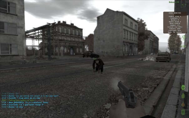 Yes, I aimed down my iron sights to shoot. But the screenshot key wouldn't work while aiming, so I look even more amateurish than I actually am.