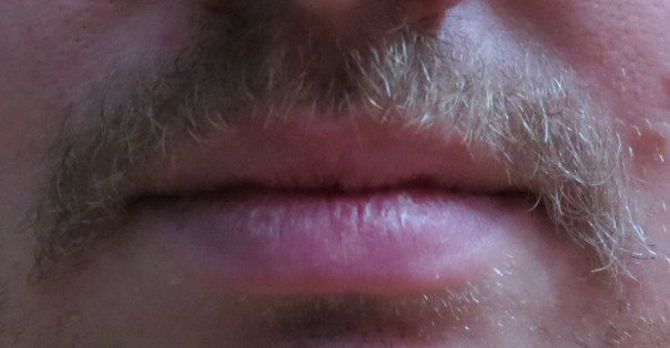 Incidentally, this may be why I haven't updated SB! in ten days.