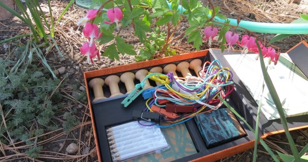 The background hose may offend some as gauche and out of place, but what could be more appropriate to the garden than the suckling nipple of life? The background hose may offend some as gauche and out of place, but what could be more appropriate to the garden than the suckling nipple of life?