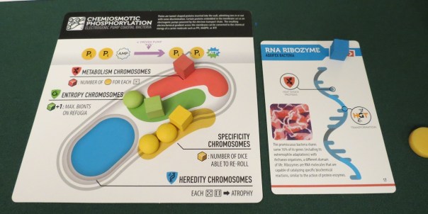 LFT: The endgame, where you're creating multicellular organisms, isn't nearly as developed as the early stages. A game's finale ought to be as thrilling as its early stages!