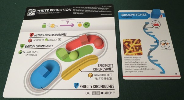 I mean, I know what a chromosome is, generally.