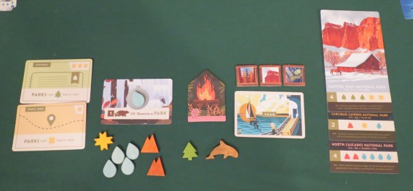 A dolphin! Everybody: d'awww