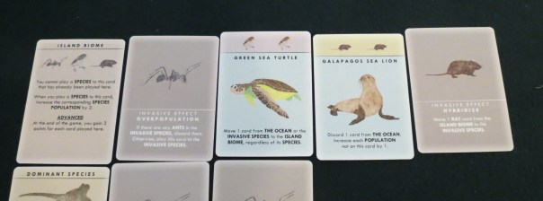 With the ants. And rats. This island isn't all it's cracked up to be.