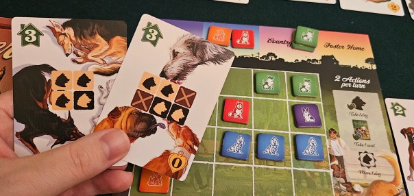 Pictured: The complicated ones.