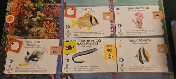 One of my good friends identified herself as a pygmy seahorse, but she has a history of too much sun exposure so we all got quiet while we determined whether it was appropriate to laugh