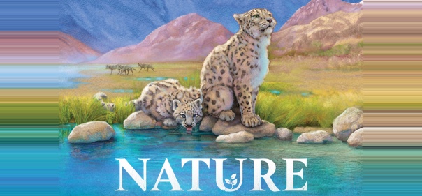 Check out these fuzzy buddies.