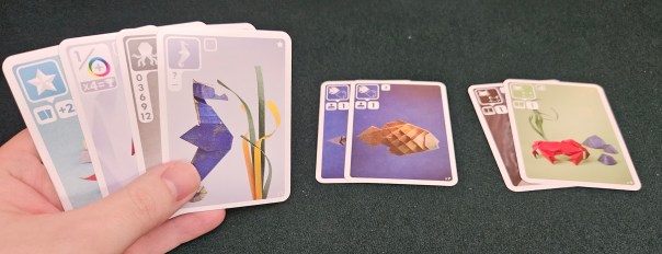 Oops, I showed the seahorse twice. You'll see. Oops, I showed the seahorse twice. You'll see.