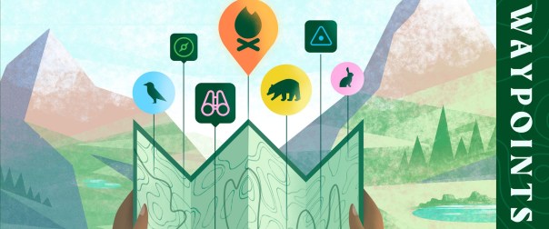 at last, a use for this darn orienteering merit badge