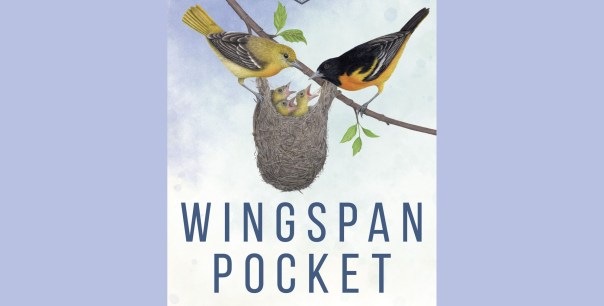 aw! it's a pocket, see? a birb pocket aw! it's a pocket, see? a birb pocket